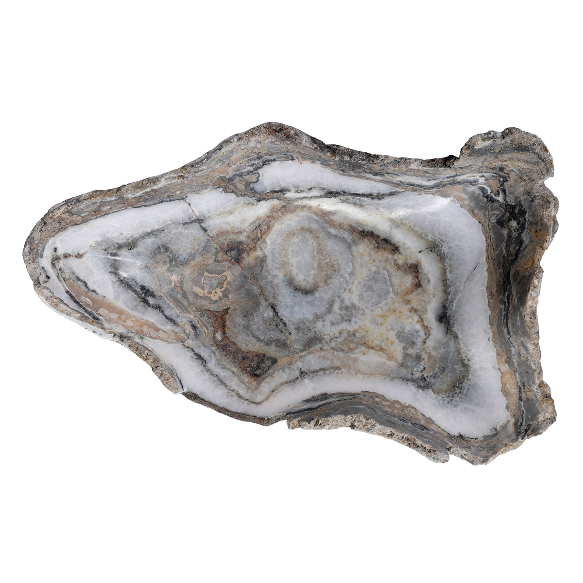 #color_light-petrified-wood