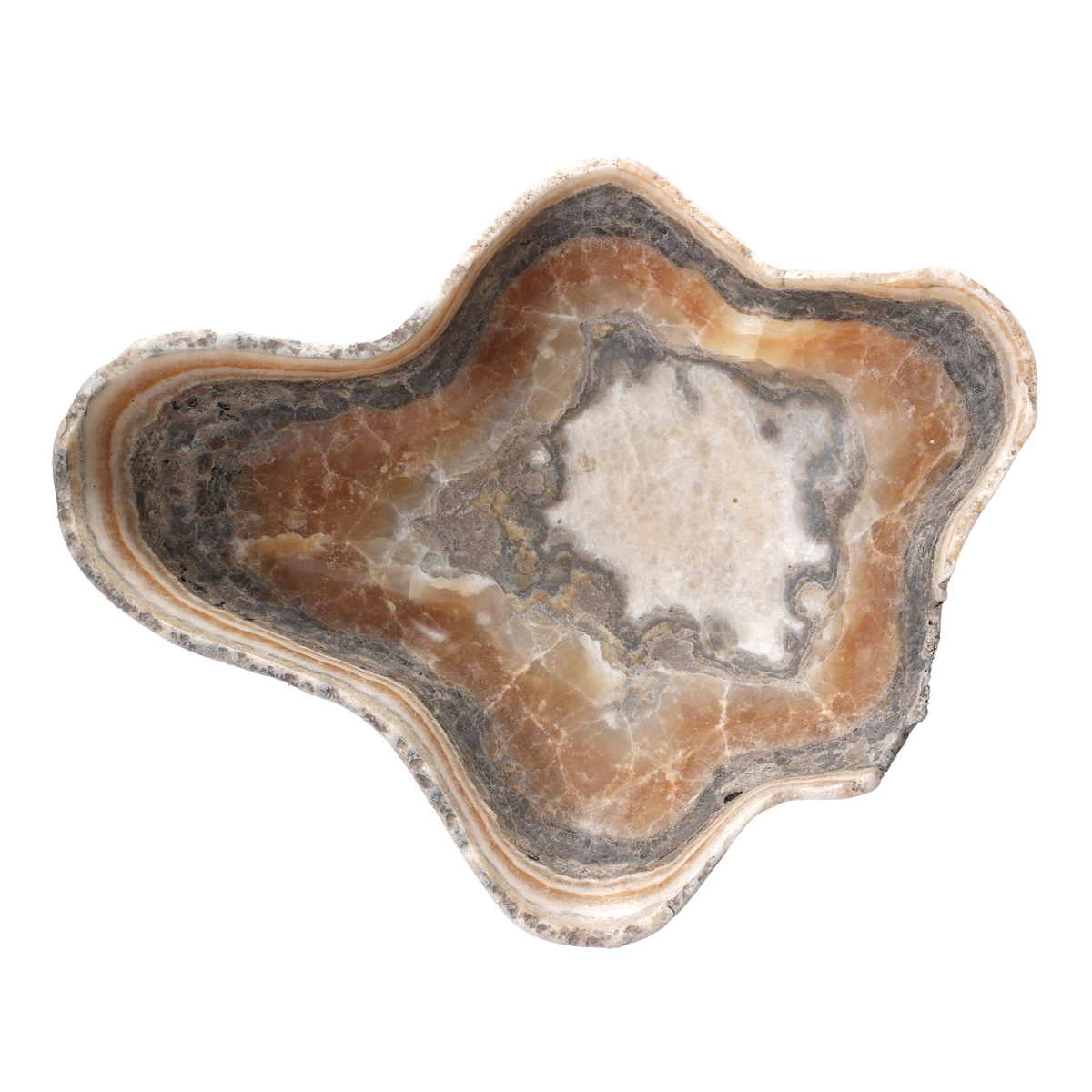 #color_light-petrified-wood