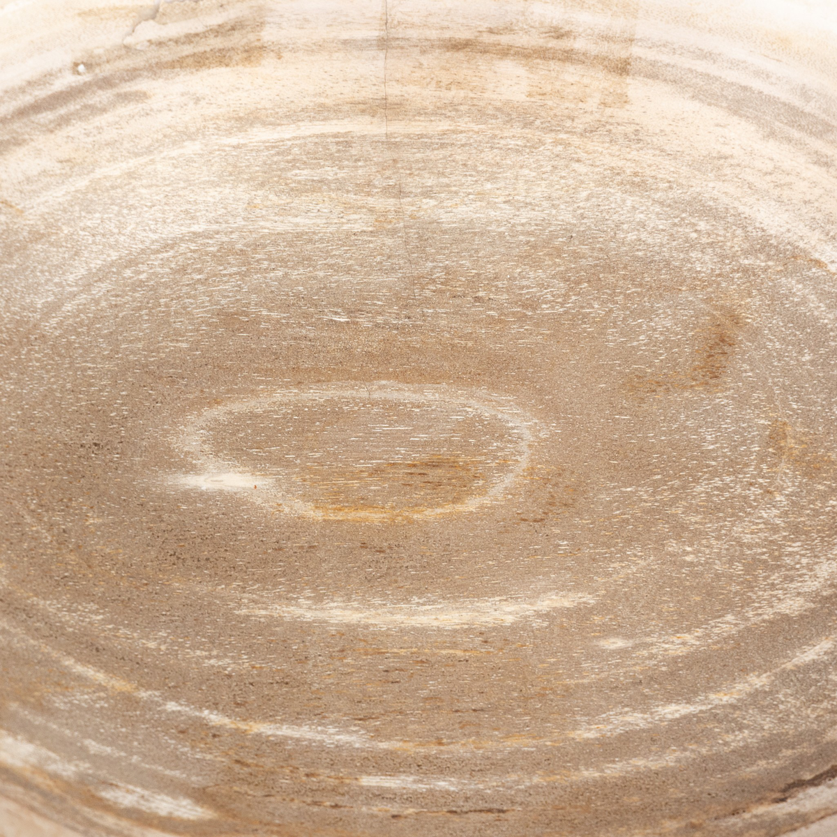 #color_light-petrified-wood