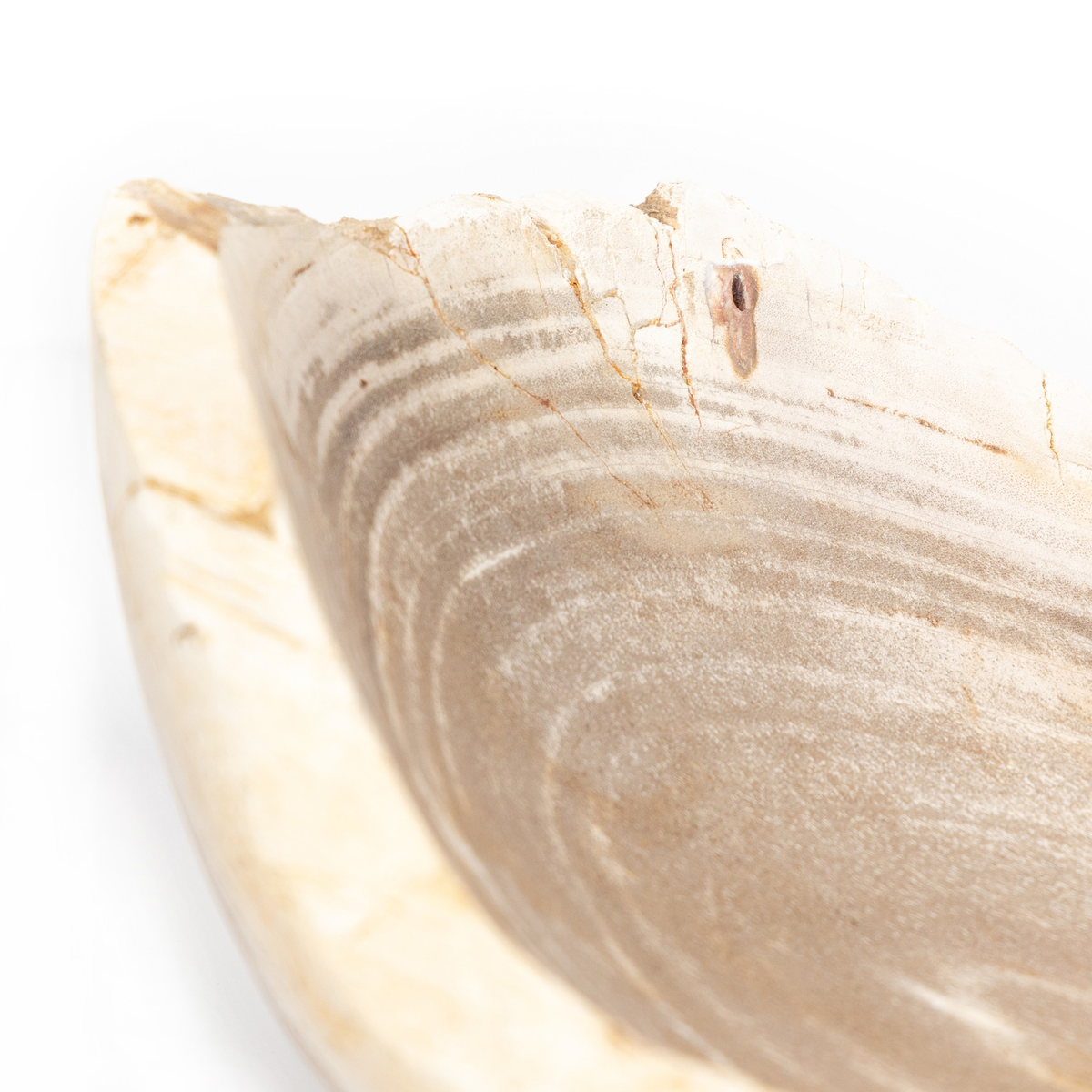 #color_light-petrified-wood
