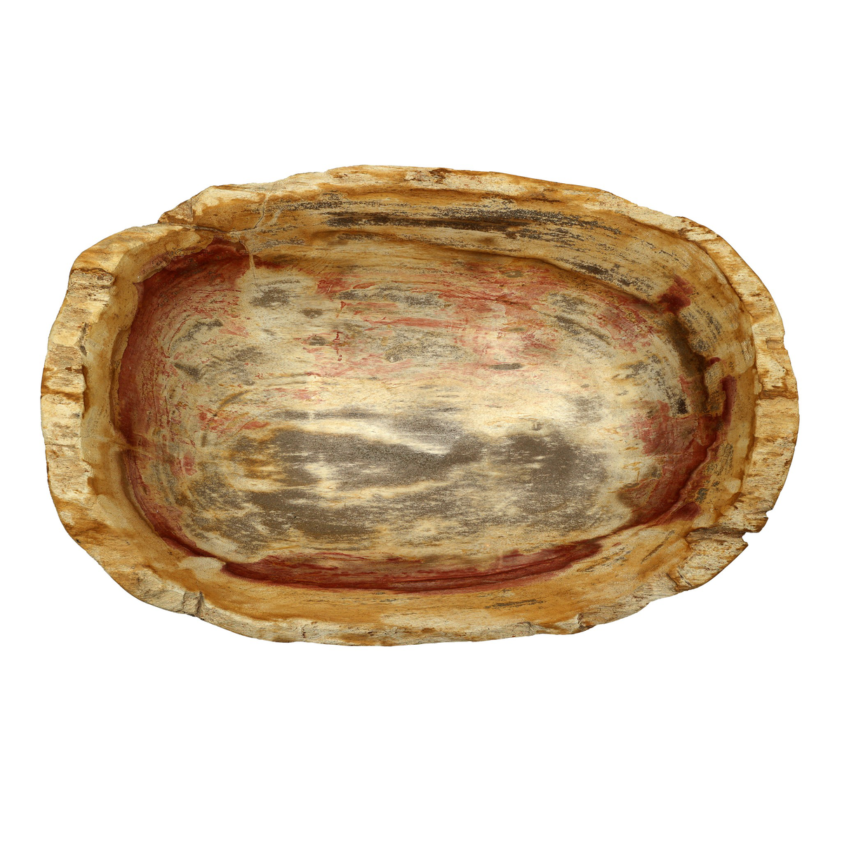 #color_light-petrified-wood