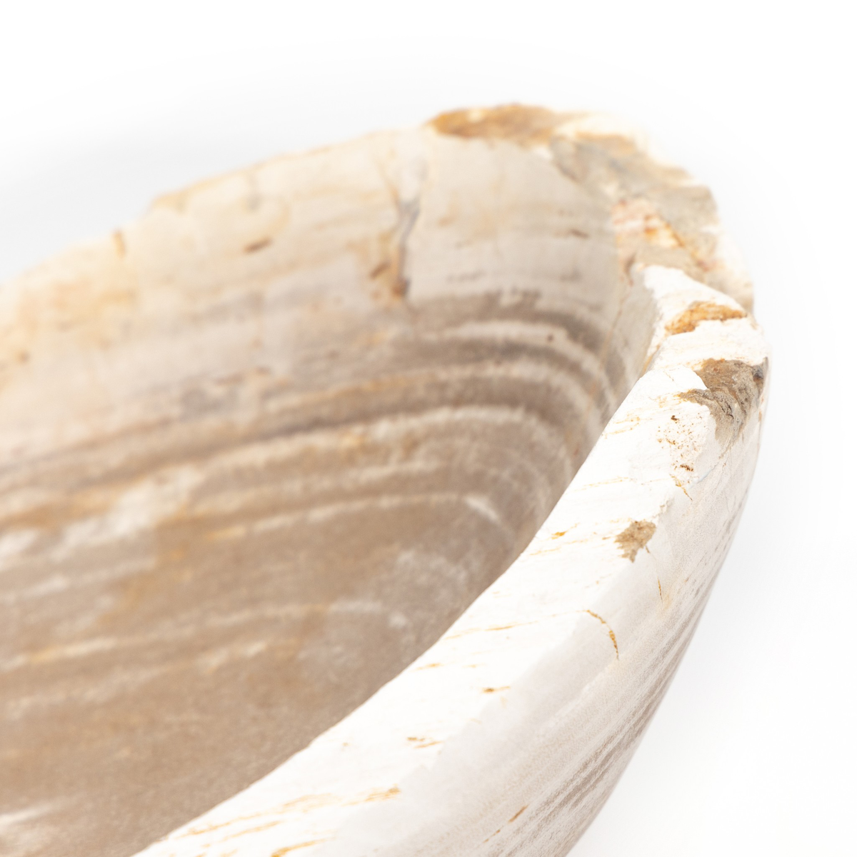 #color_light-petrified-wood
