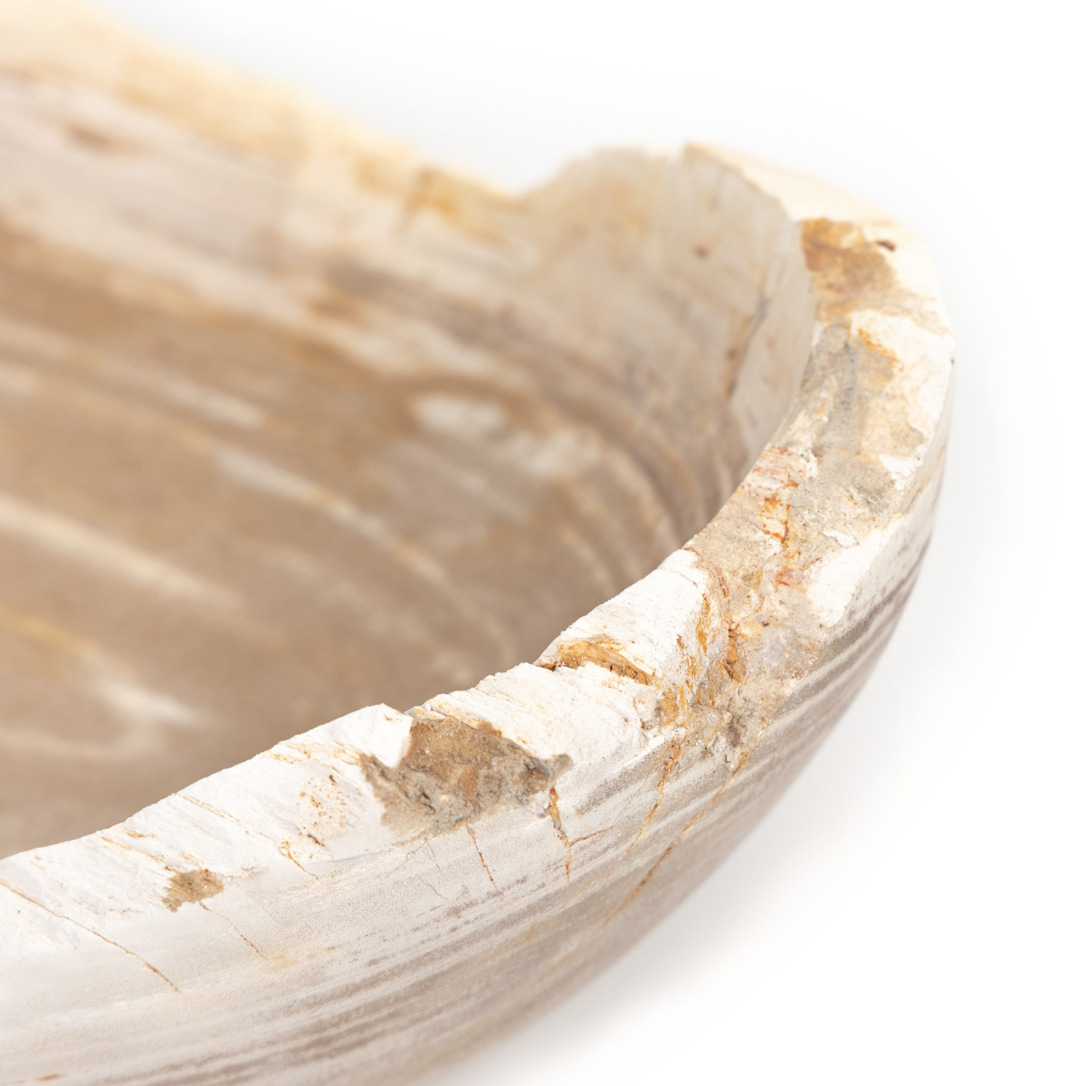 #color_light-petrified-wood