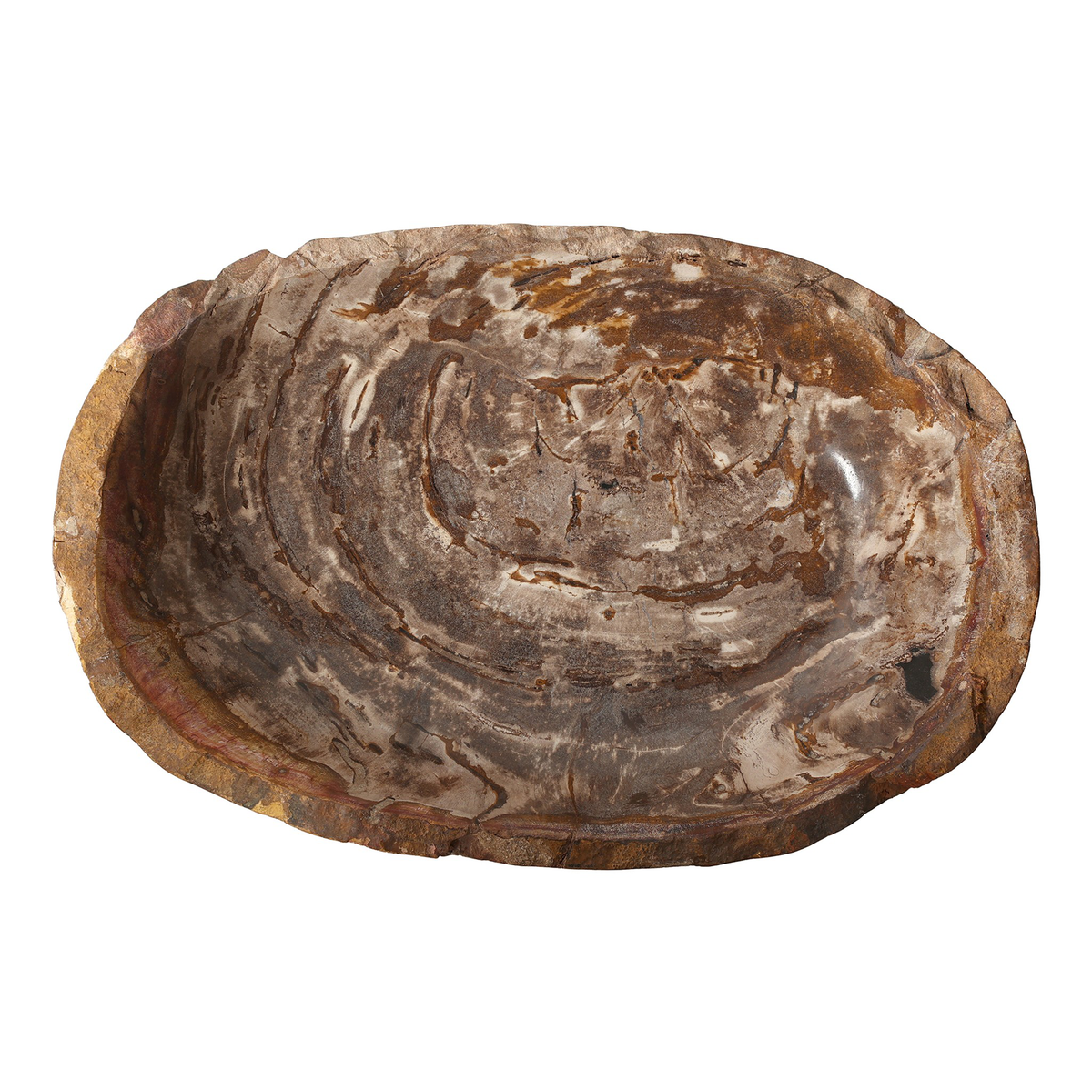 #color_light-petrified-wood