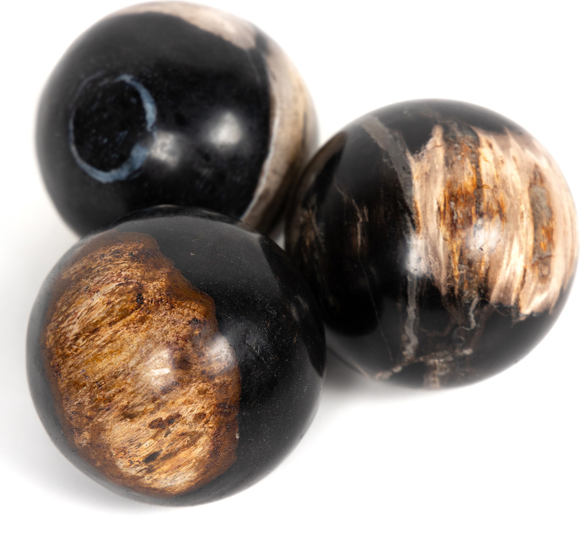 #color_dark-petrified-wood