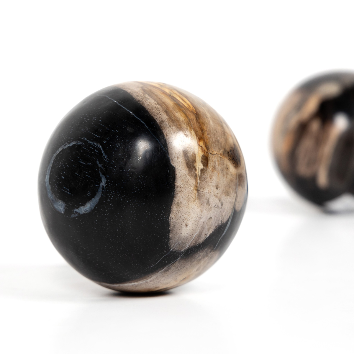 #color_dark-petrified-wood