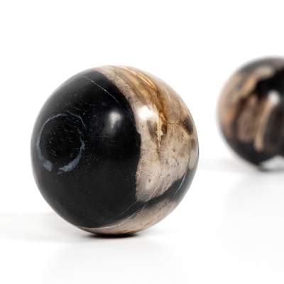 #color_dark-petrified-wood