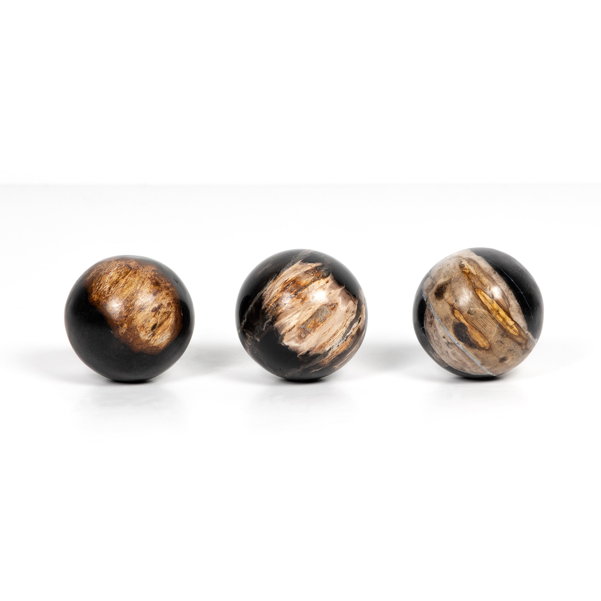 #color_dark-petrified-wood