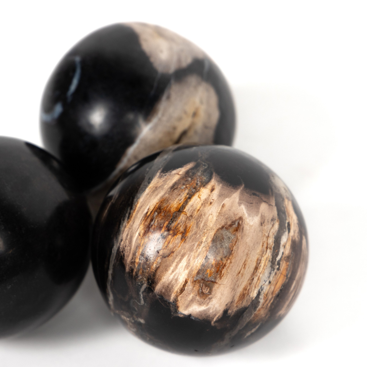 #color_dark-petrified-wood