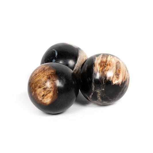 #color_dark-petrified-wood