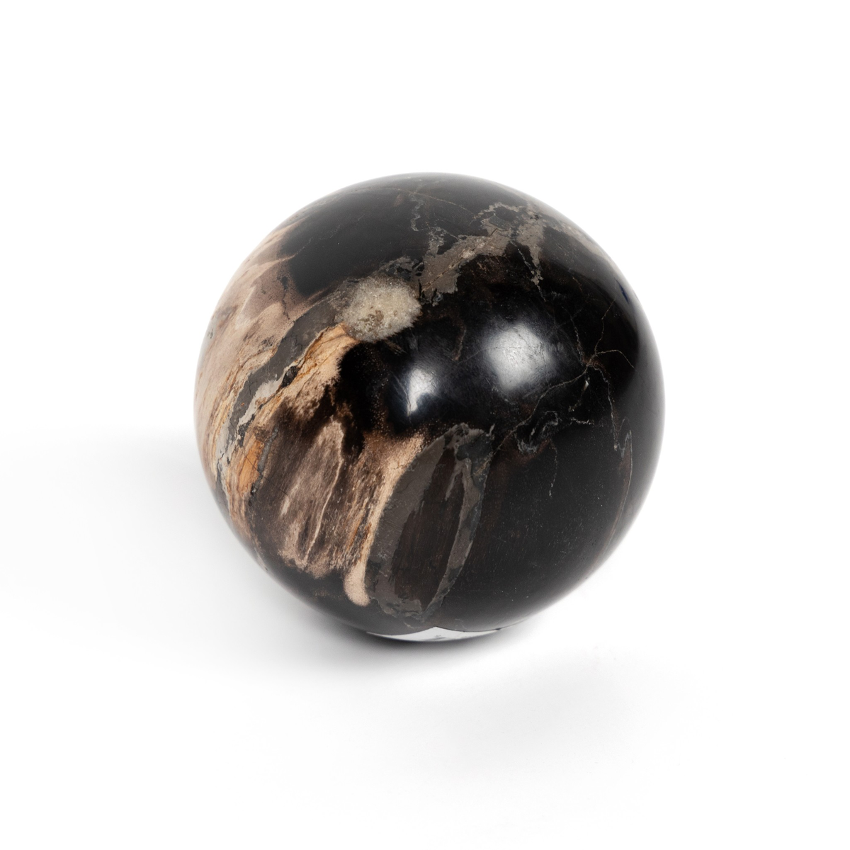 #color_dark-petrified-wood