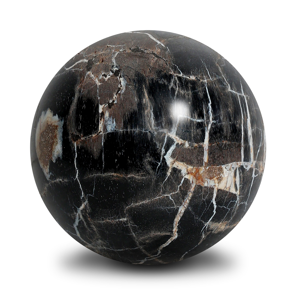 #color_dark-petrified-wood