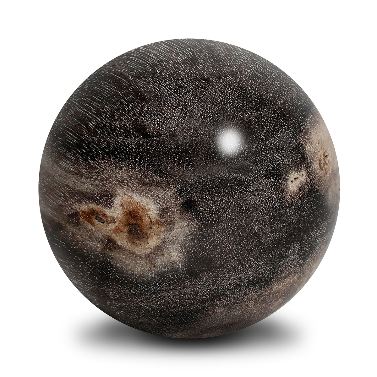 #color_dark-petrified-wood