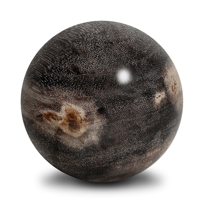 #color_dark-petrified-wood