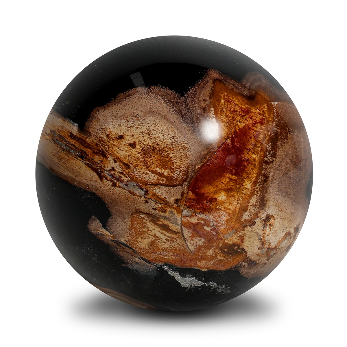 #color_dark-petrified-wood