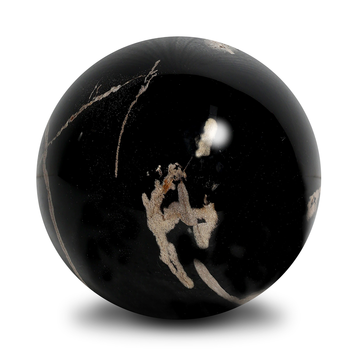 #color_dark-petrified-wood