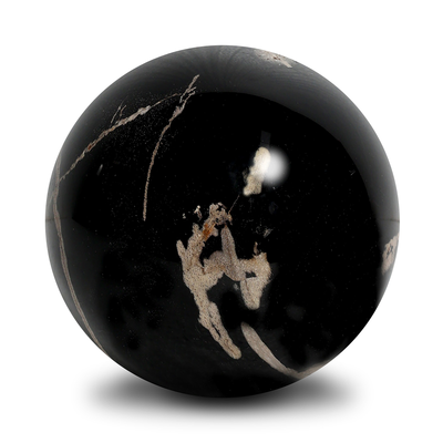 #color_dark-petrified-wood