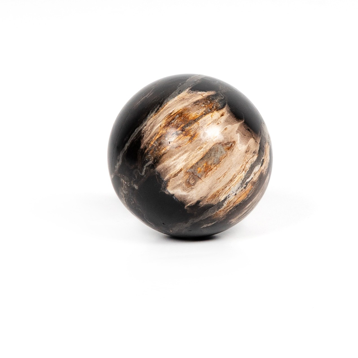 #color_dark-petrified-wood