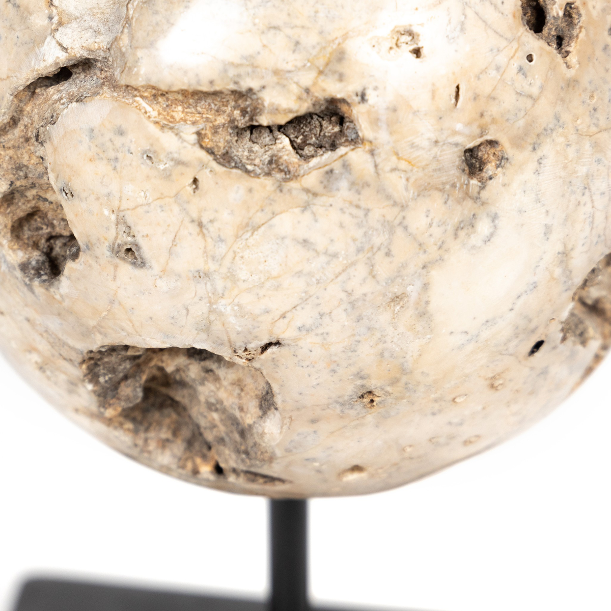 #color_black-marble