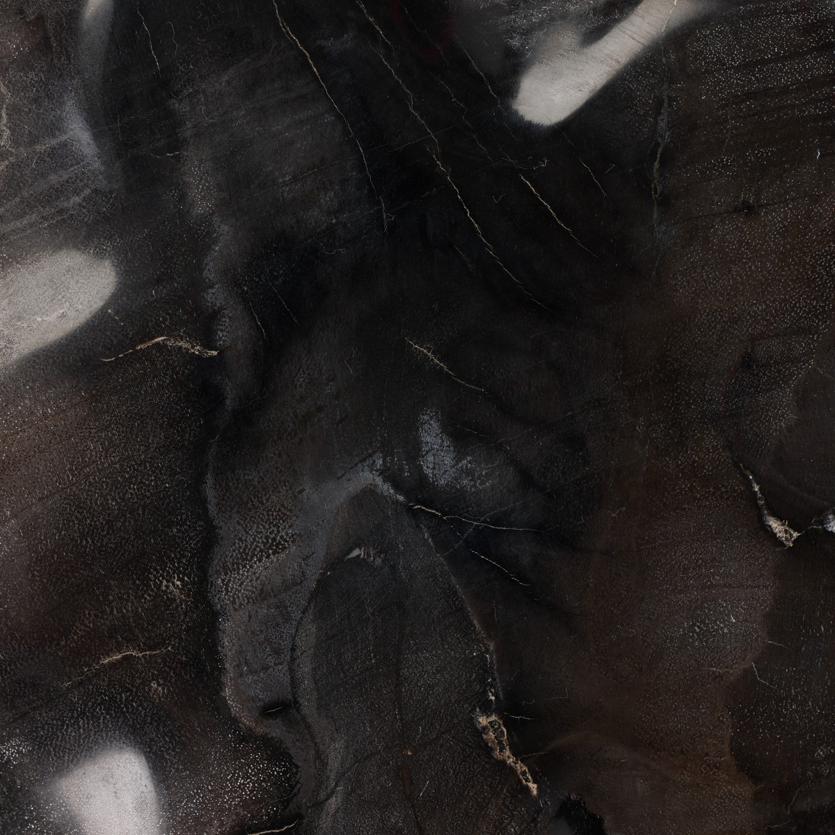 #color_dark-petrified-wood