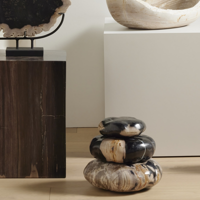 Petrified Wood Organic Sculpture, Set Of 3 by Four Hands