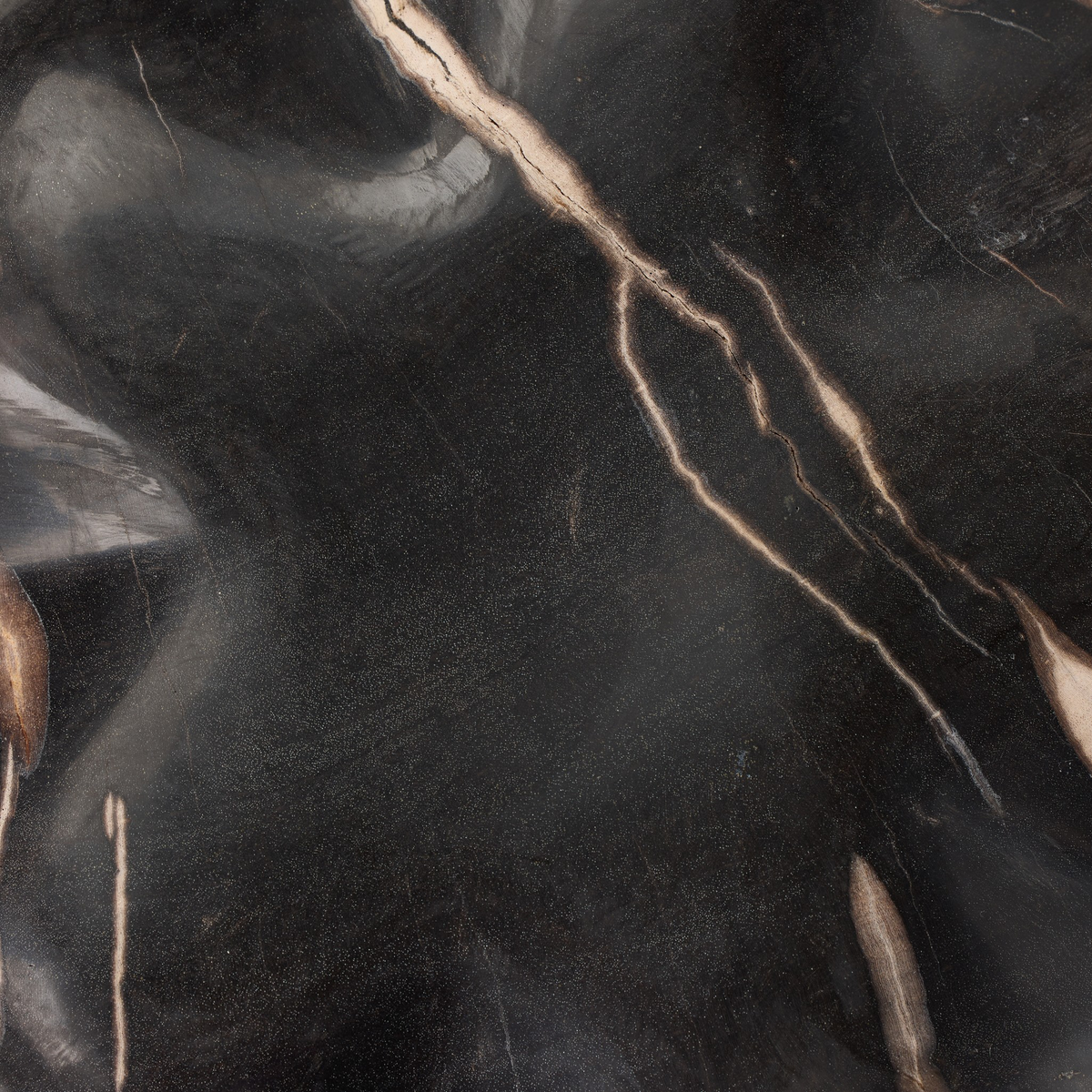 #color_dark-petrified-wood