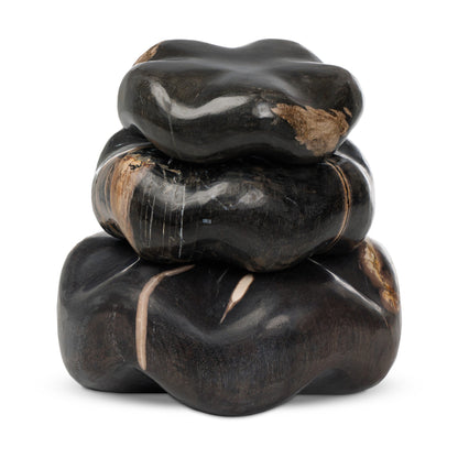 Petrified Wood Organic Sculpture, Set Of 3