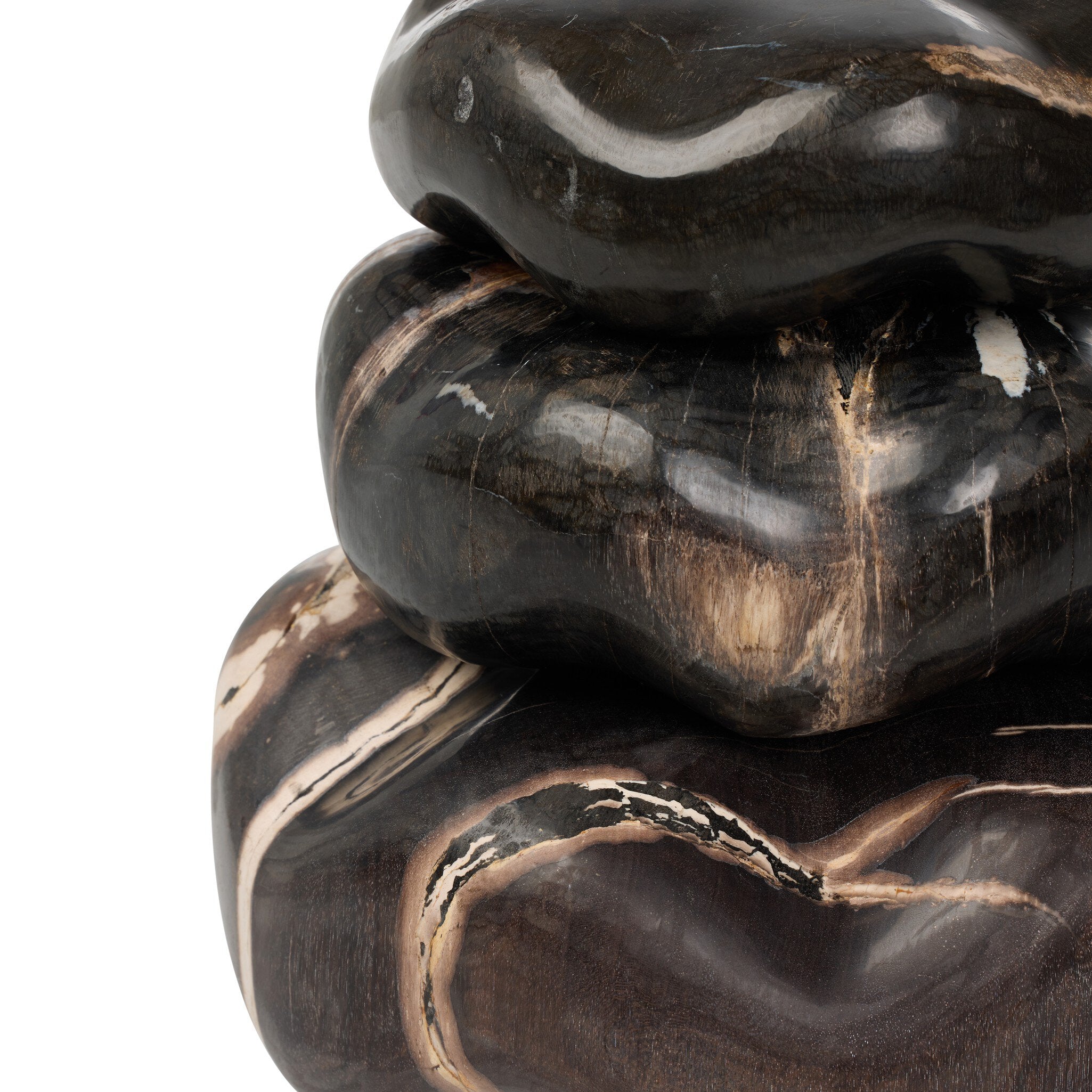 Petrified Wood Organic Sculpture, Set Of 3