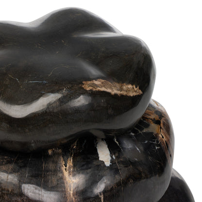 Petrified Wood Organic Sculpture, Set Of 3