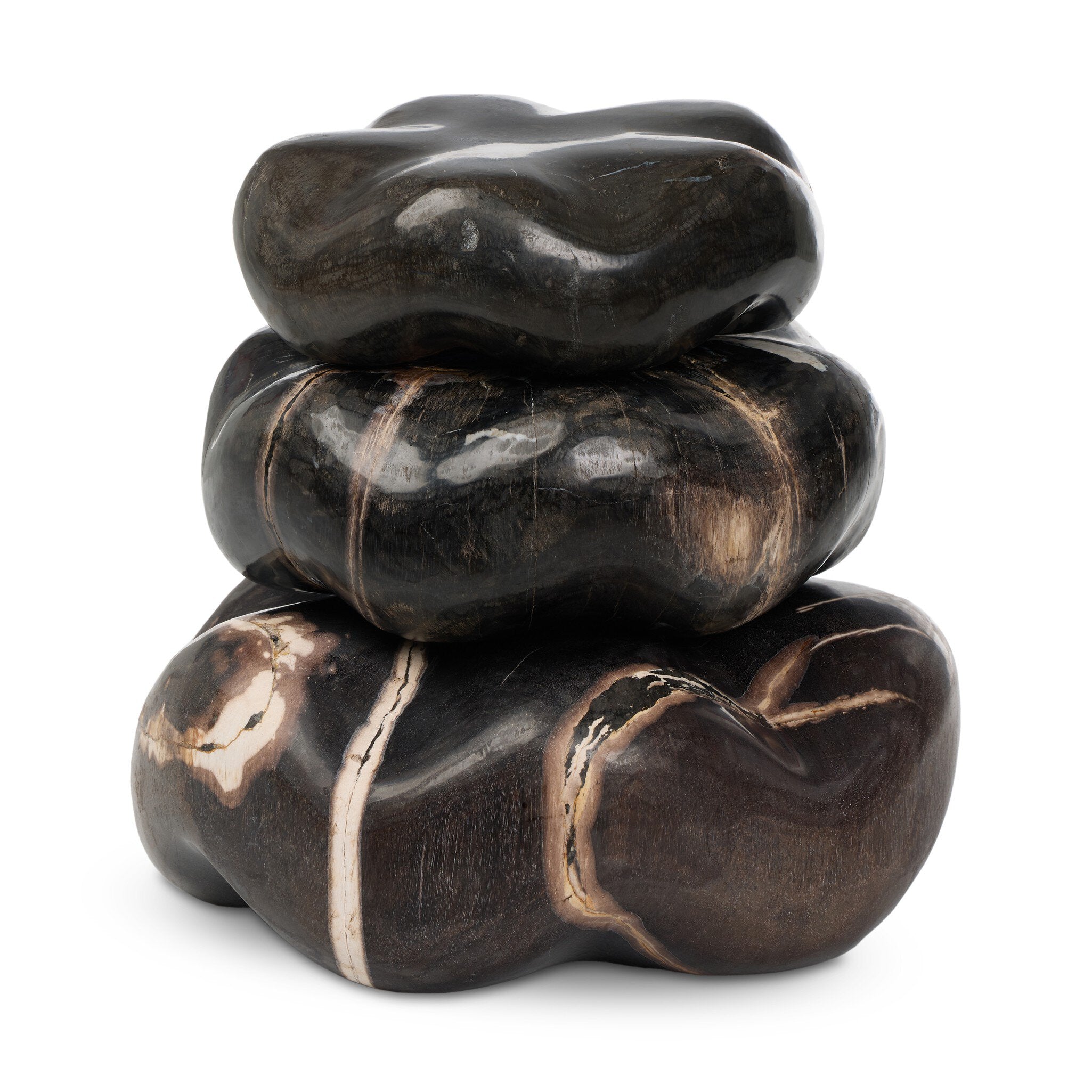 Petrified Wood Organic Sculpture, Set Of 3