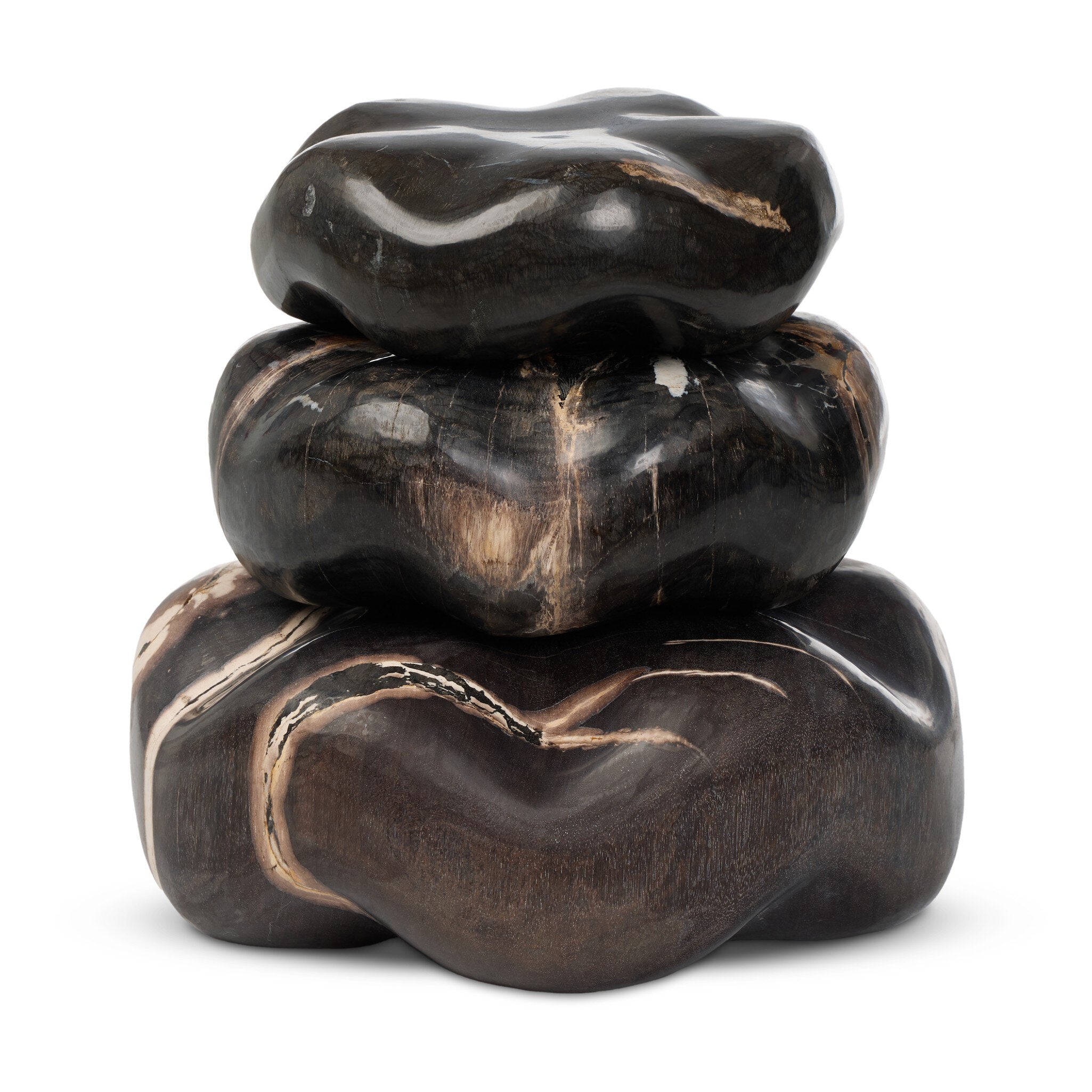 Petrified Wood Organic Sculpture, Set Of 3