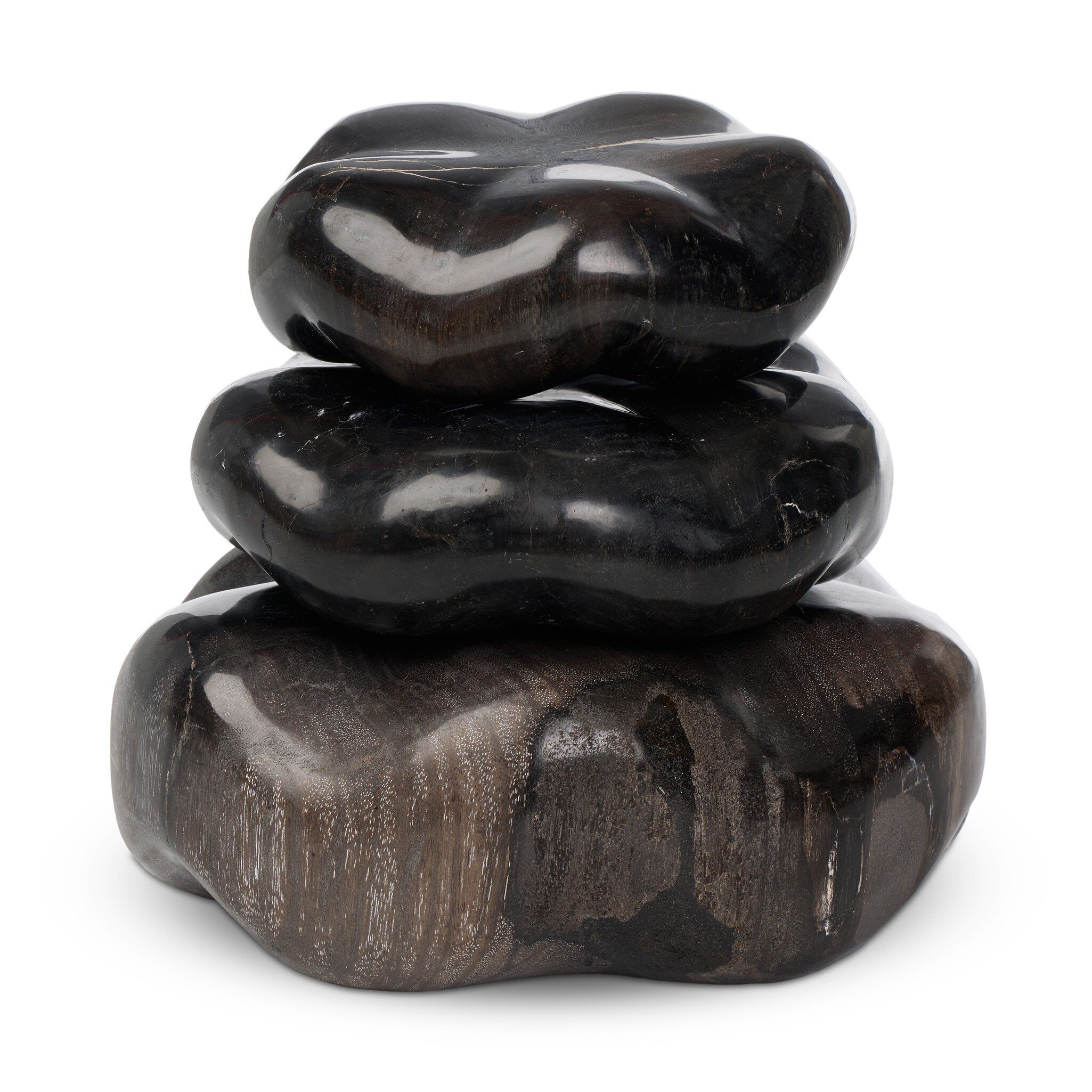 Petrified Wood Organic Sculpture, Set Of 3
