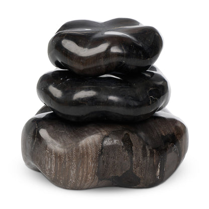 Petrified Wood Organic Sculpture, Set Of 3