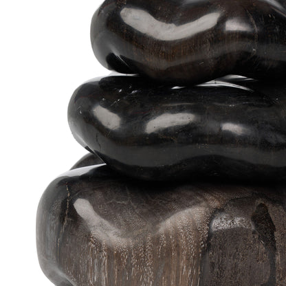 Petrified Wood Organic Sculpture, Set Of 3
