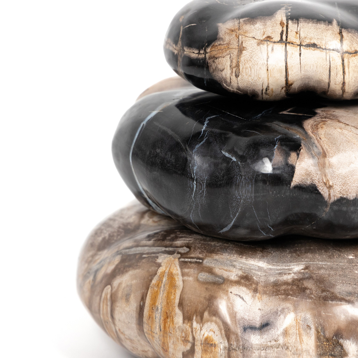 #color_dark-petrified-wood