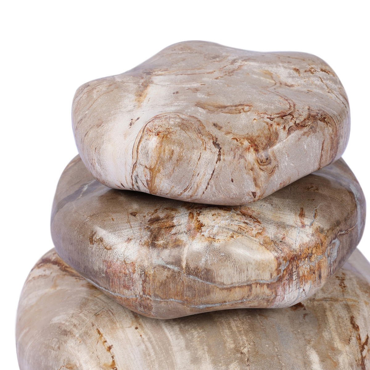 #color_light-petrified-wood