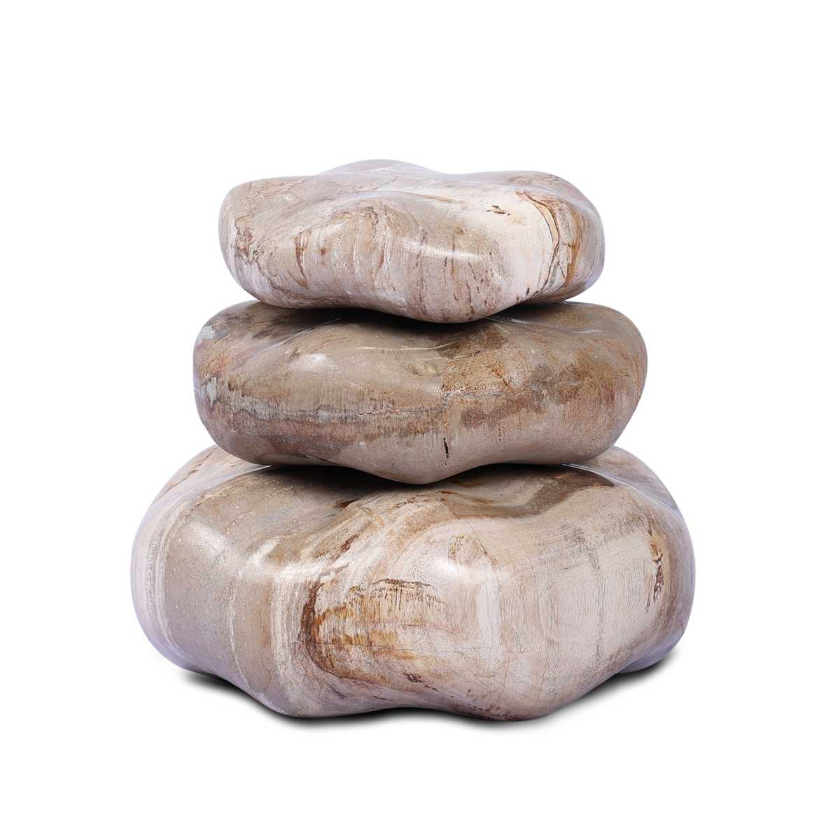 #color_light-petrified-wood