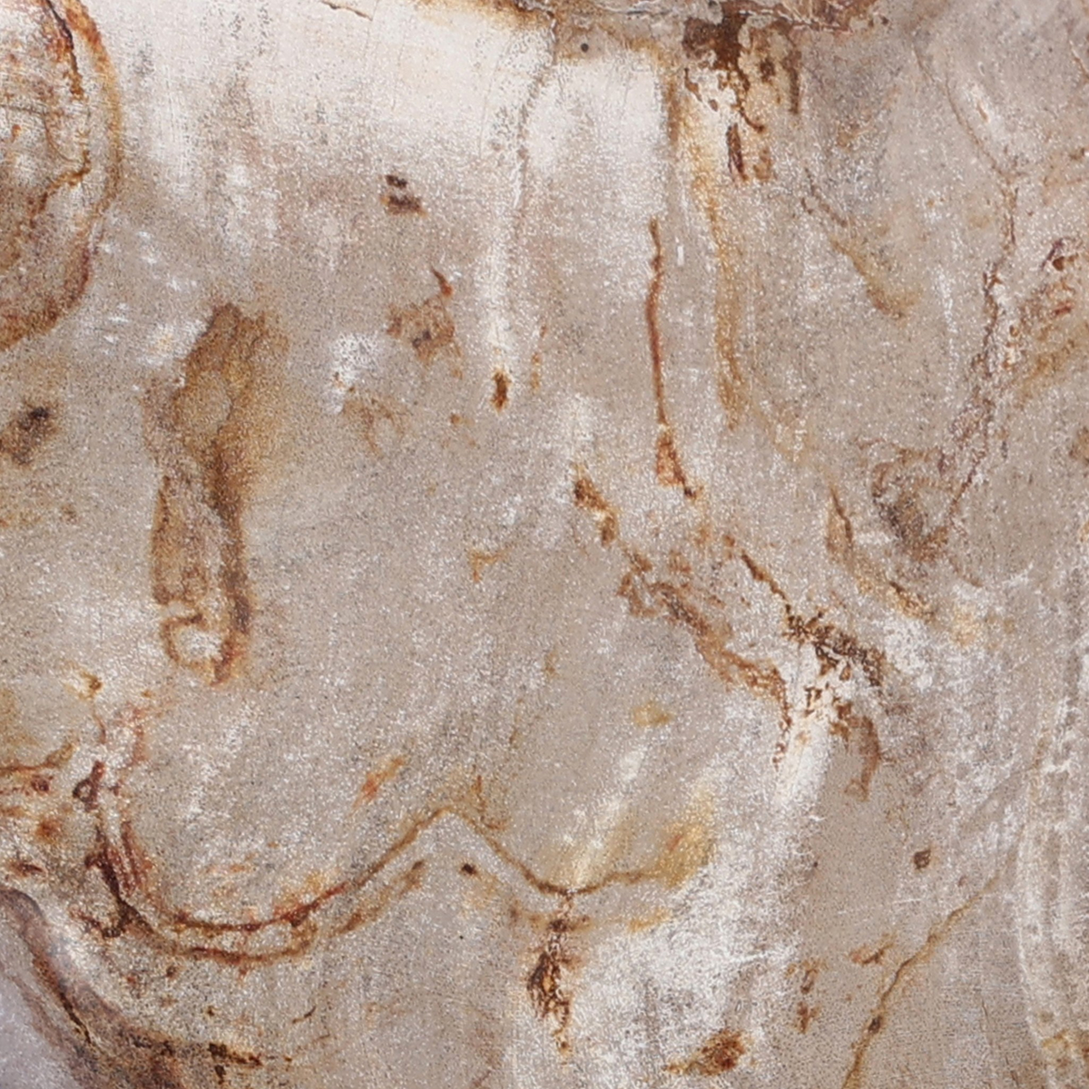 #color_light-petrified-wood