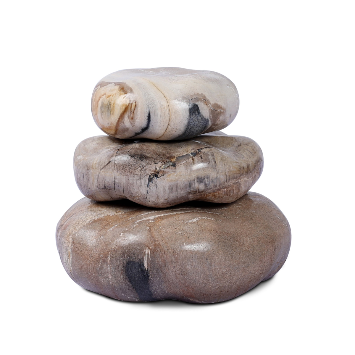 #color_light-petrified-wood