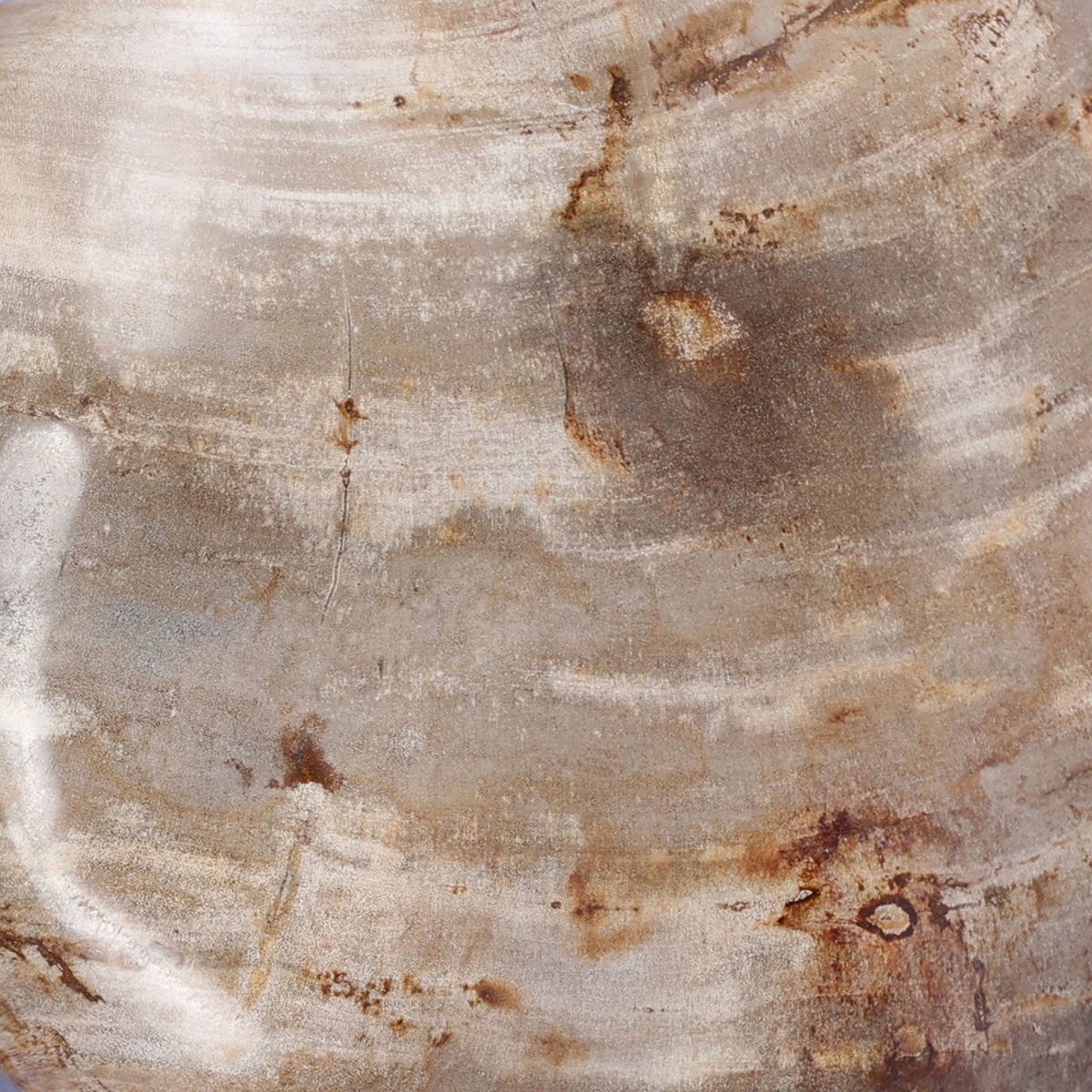 #color_light-petrified-wood