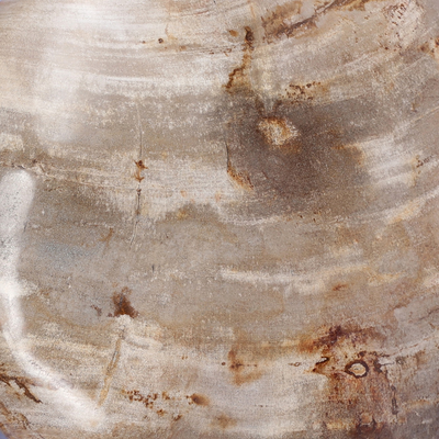 Petrified Wood Organic Sculpture, Set Of 3 by Four Hands