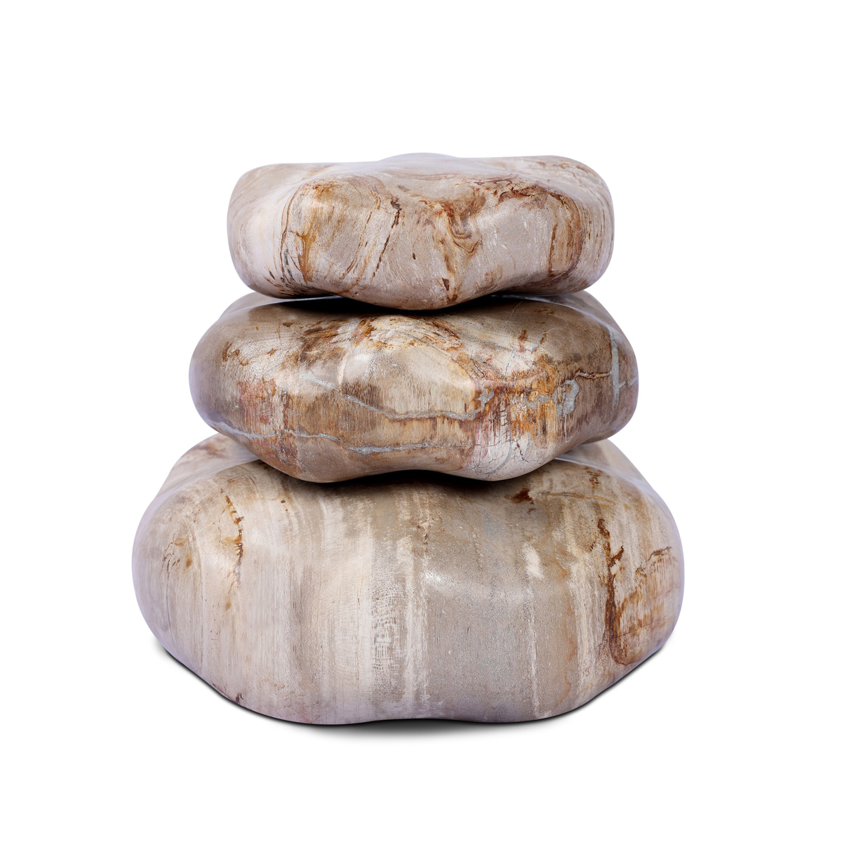 #color_light-petrified-wood
