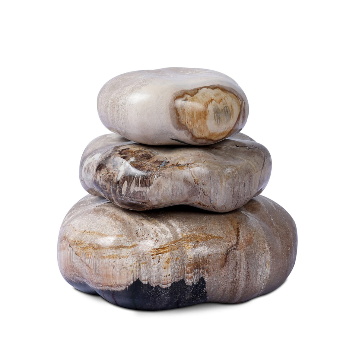 #color_light-petrified-wood