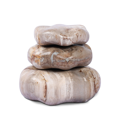 Petrified Wood Organic Sculpture, Set Of 3 by Four Hands