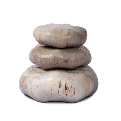 Petrified Wood Organic Sculpture, Set Of 3 by Four Hands