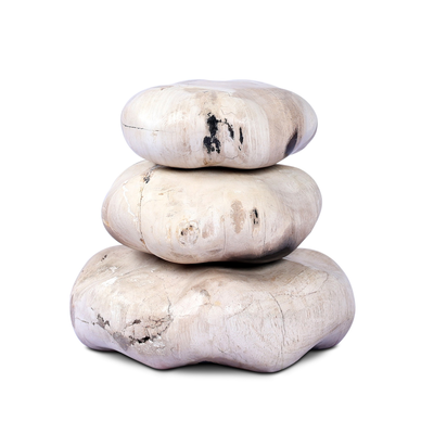 Petrified Wood Organic Sculpture, Set Of 3 by Four Hands