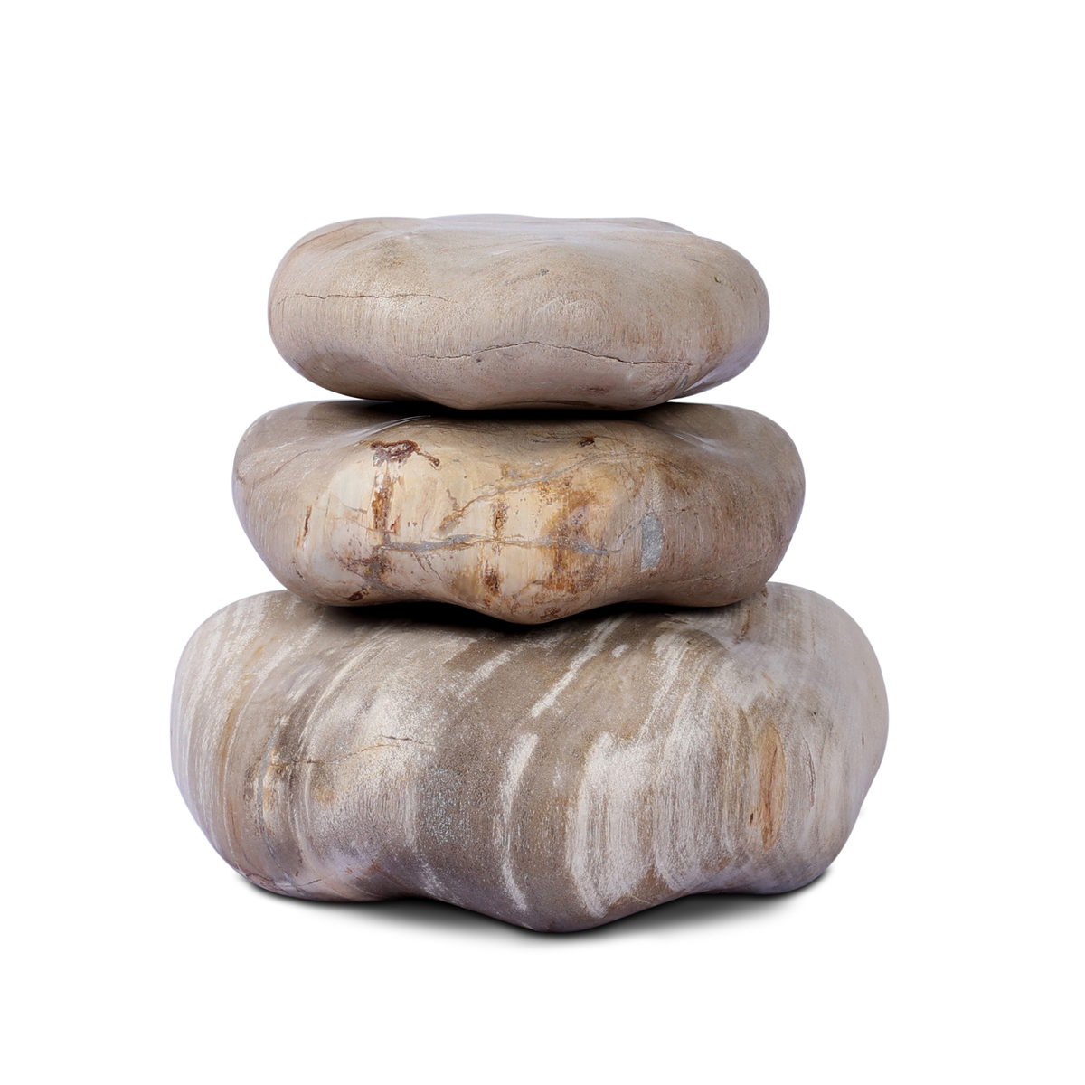 #color_light-petrified-wood