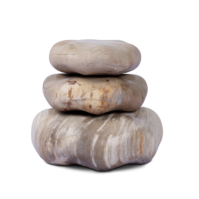 Petrified Wood Organic Sculpture, Set Of 3 by Four Hands