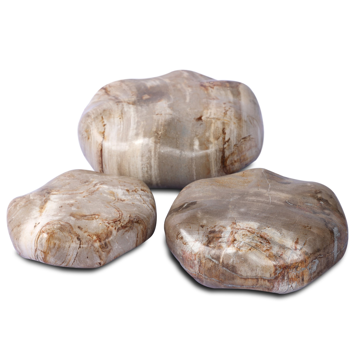 #color_light-petrified-wood