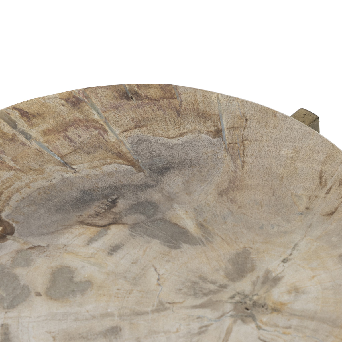 #color_light-petrified-wood